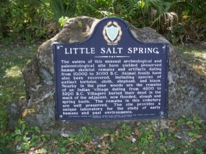 salt springs