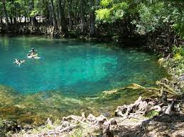 florida springs